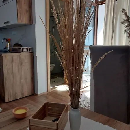 Apartman Kovacevic Raška